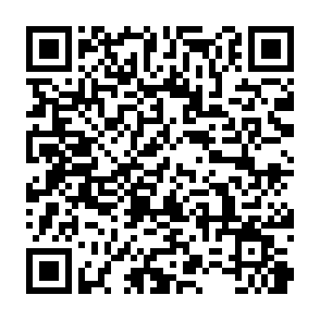 読み取り用QRコード|釣り船 桜井丸